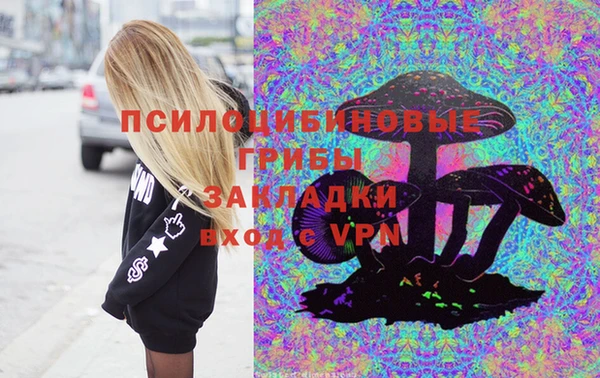 соль ск Алексин