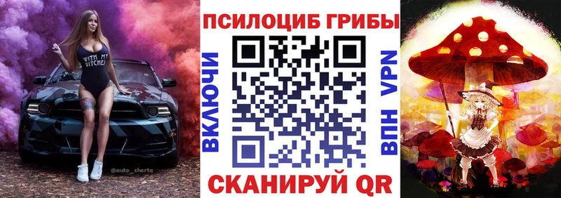 Галлюциногенные грибы мицелий  Котовск 